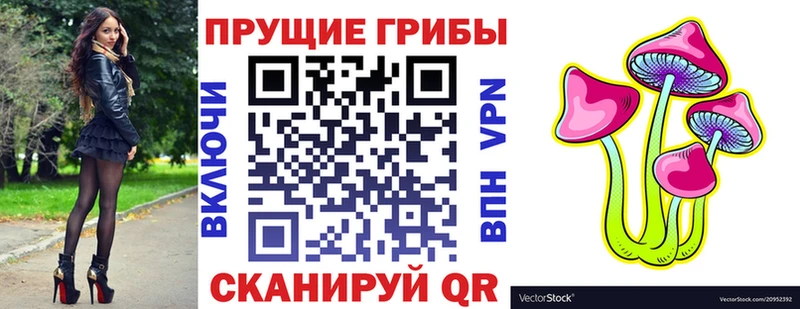 Псилоцибиновые грибы Psilocybe  Пласт 