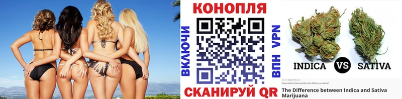 Марихуана планчик  как найти   Пласт 